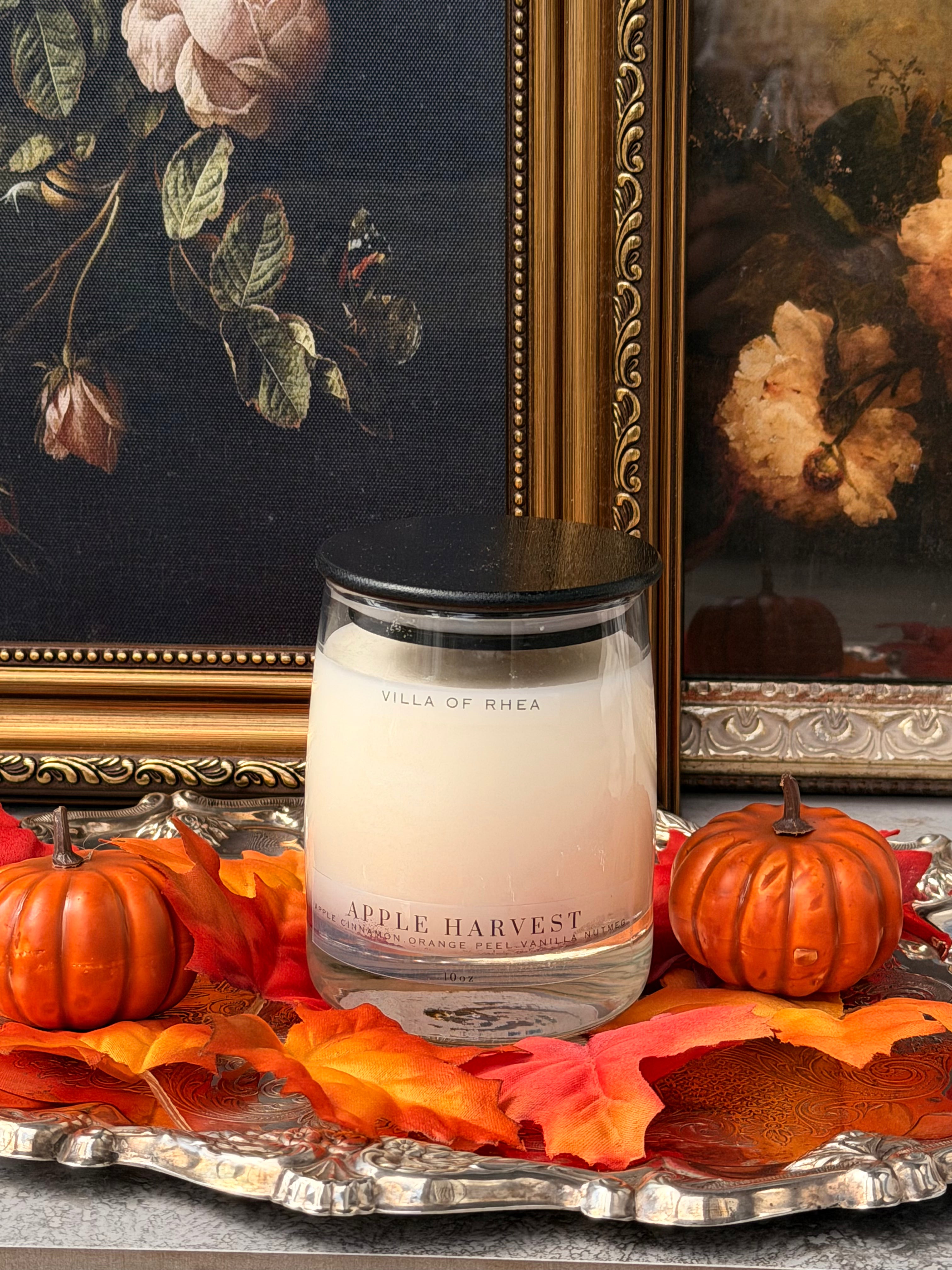 Apple Harvest Soy Wax Candle | Apple Cinnamon, Orange Peel & Vanilla Nutmeg